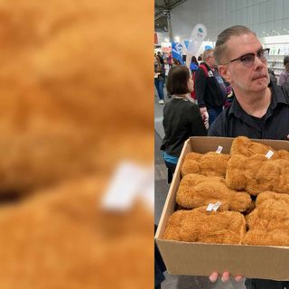 Markus Heitz kocht und schreibt: Schnitzel Surprise à la Plüsch