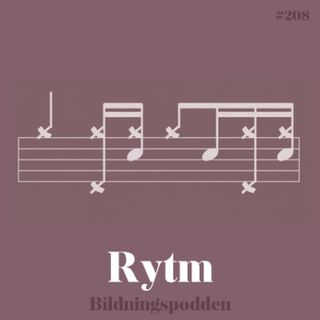 #208 Rytm