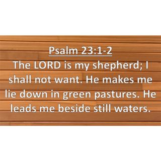 Message 04/26/2026 - The Voice of the Shepherd - Text: John 10:1-10