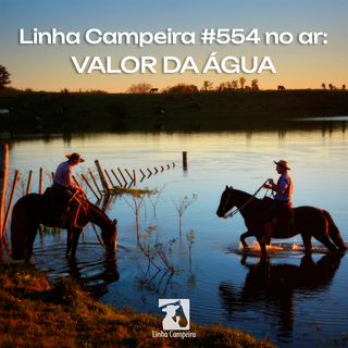 Episódio #554 - O valor da água