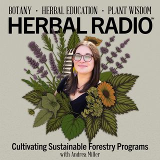 Cultivating Sustainable Forestry Programs | Featuring Andrea Miller