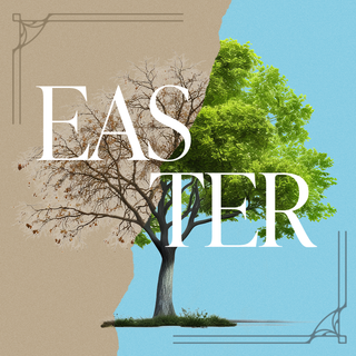 SPEAK | Part 14 | Then, When You Least Expect It | Easter