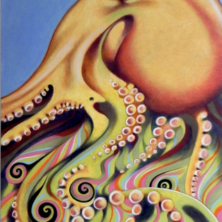 Let's Talk Cephalopods: A Conversation with Dr. David Scheel
