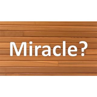 Message 04/12/2026 - Miracles Today - Text: John 20:19-31