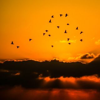 TESTEMUNHO CCB O QUE É PROVA