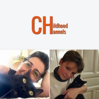 Te tered! - Bálinttal | Manaila Monica cica viselkedèsi tanácsadó a CicaSuttogó Hotel vezetője