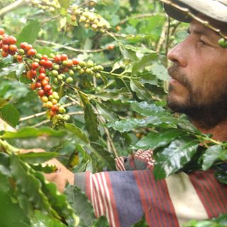 Filandia y el encanto de la tierra cafetera