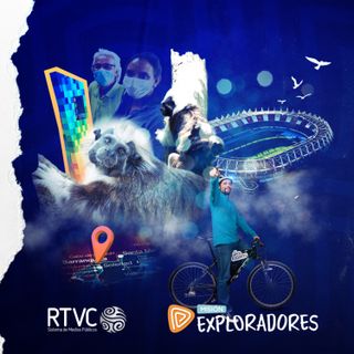 Protejamos al mono tití