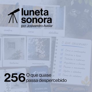Luneta Sonora 256: O que quase passa despercebido