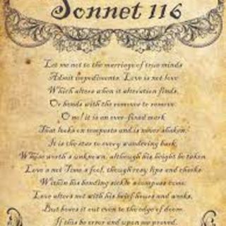 Soneto 116