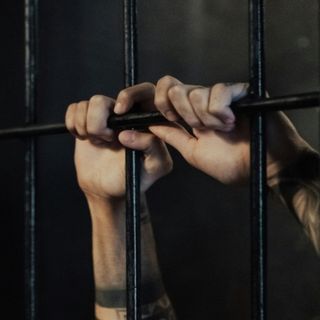 Estou indo para a CADEIA - Número 341