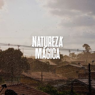 A Primeira Tempestade