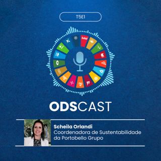 ODS Cast: Portobello Grupo