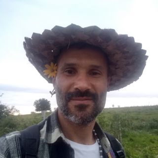 Sem cobrança nem exigência