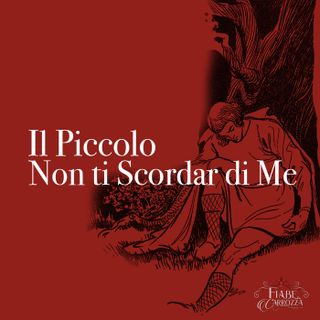 IL PICCOLO NON TI SCORDAR DI ME
