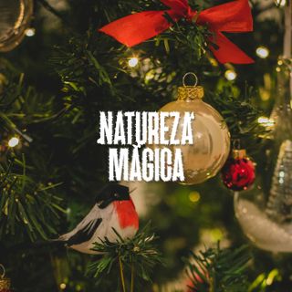 Som de Pássaros com Música Natalina (Áudio 3D) • 1 hora