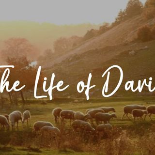 Sisterhood: The Life of David - His Legacy