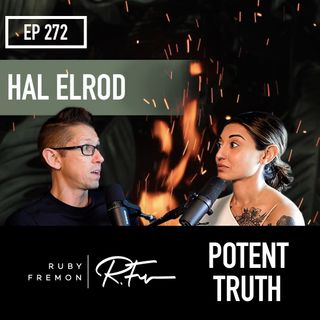 272: Personal Responsibility and Miracles with Hal Elrod