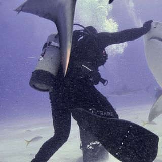 Xtreme Lyfe 85 Shark Diving with David Martinez