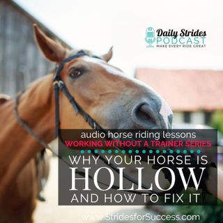 Why Your Horse Is Hollow and How to Start Fixing It