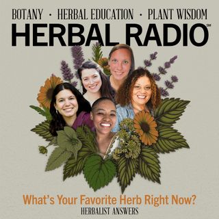Herbalist Answers: What's Your Favorite Herb Right Now?