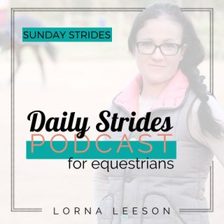 Sunday Strides:- The Quiet Power of Simply Being With Your Horse