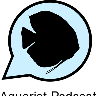 Ep. 118 - Anthony Aramata on Breeding Fish and The Daku Method