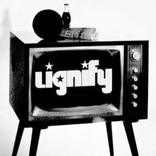 Imagen del artista Lignify