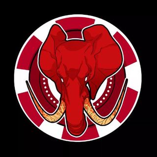 Imagen del artista Elephant Casino