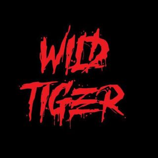 Imagen del artista Wild Tiger