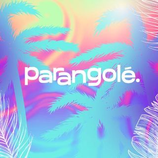 Imagen del artista Parangolé