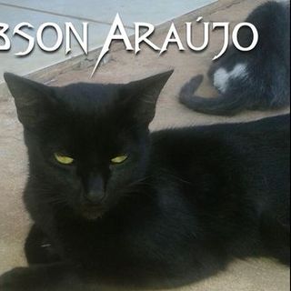 Imagen del artista Robson Araújo