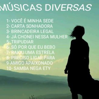 Foto da capa: ALBUM MÚSICAS DIVERSAS/ SERTANEJO