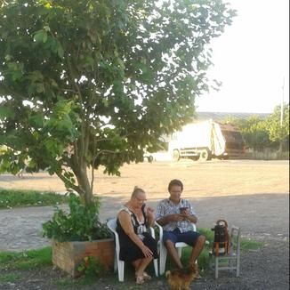 Foto da capa: JOAO  FERRY  COLETANEA  EU  E  A  FIGUEIRA