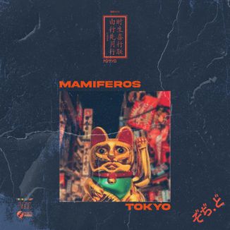 Foto da capa: Mamíferos - BRVGV