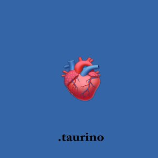 Foto da capa: Taurino