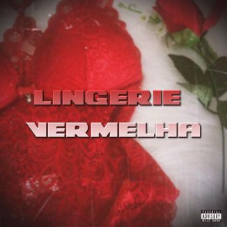Foto da capa: Lingerie Vermelha
