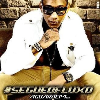 Foto da capa: Segue o Fluxo