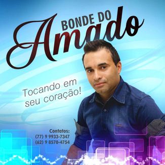 Foto da capa: Volume 7