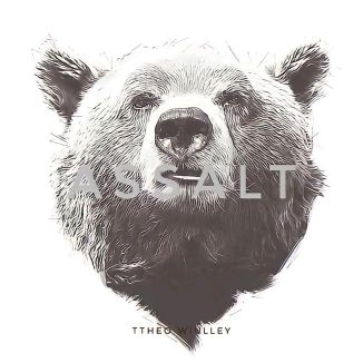 Foto da capa: Assalt - Single