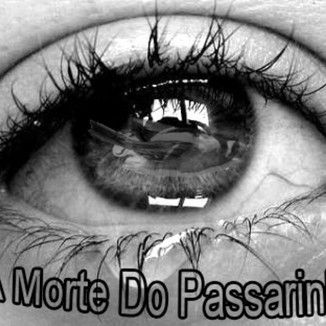 Foto da capa: A Morte Do Passarinho