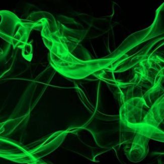 Foto da capa: Psilocibina