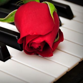 Foto da capa: Single Tune project