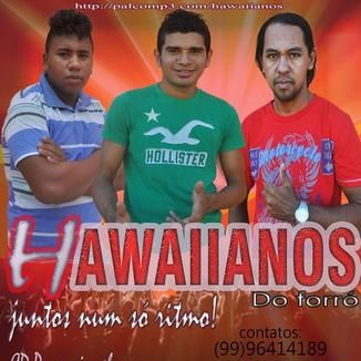 Foto da capa: Hawaiianos Ao vivo