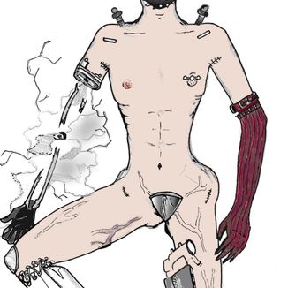 Foto da capa: Grunhido