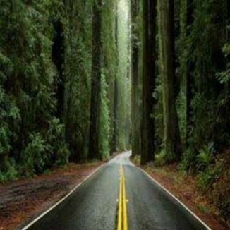 Foto da capa: Rodrigo Silva