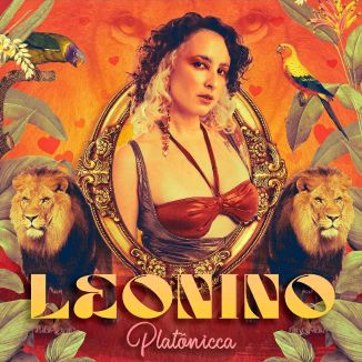 Foto da capa: LEONINO