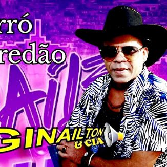 Foto da capa: Ginailtonecia  - Forró De Paredão