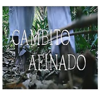 Foto da capa: Cambito Afinado