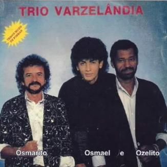 Foto da capa: Trio Varzelândia